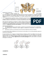 Articulación Coxofemoral