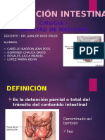 Obstruccion Intestinal