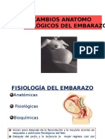 Cambios Fisiologicos en El Embarazo