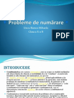 Probnumarare PDF