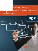 Mapeamento e Gerenciamento de Processos 1