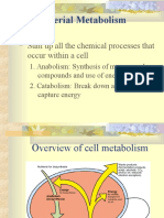 Bacterial Metabolism