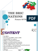 The Bric Nations: Future of The World