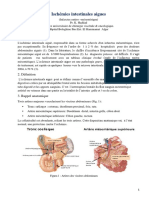 Infarctus Entero-Mesenetrique