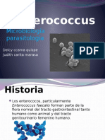 Enter o Coccus