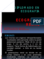 Ecografia Renal