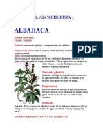 ALBAHACA