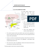 Biliary System