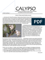 Calypso OO: Extinct Manzanita Rediscovered