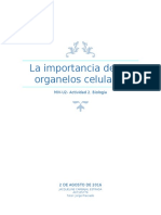 La Importancia de Los Organelos Celulares - Biología