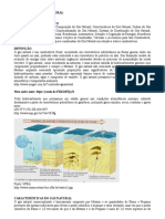 Apostila de Contabilidade Mauricio Barros