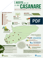 La Palma de Aceite en El Departamento Del Casanare