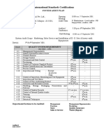 Initial Audit Plan