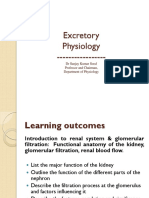 Renal Lecture 1 PDF