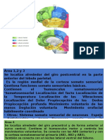 Areas de Brogman