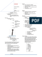 Examination of The Ear, Temporal Bone