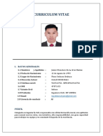 Curriculum Vitae1