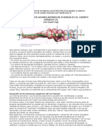 Canales y Centros Acumuladores de Energía en El Cuerpo Humano