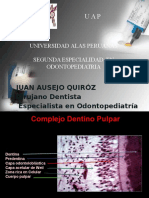 DR Ausejo, Proteccion Dentino Pulpar