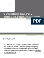 Neuroanatoma Funcional y Fisiologa Del Sistema Masticatorio