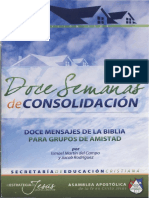 12 Semanas de Consolidacion PDF