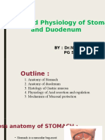 Anatomy and Physiology of Peptic Ulcer