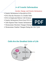 Flow of Genetic Information