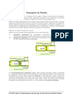 Transport in Plants Notes