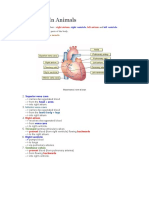 Transport in Animals: Right Atrium Left Atrium Pump Blood