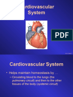 Cardiovascular System: Unit 3 Slide 1