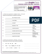 Have - Got - Exercises 2 PDF