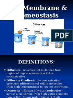 Cell Membrane & Homeostasis