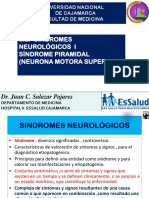 3-a-Grandes-Sindromes I-Motor-NMS-2016 PDF