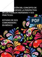 Sistematizacion Del Concepto de Desarrollo Perspectiva Pueblos Indigenas