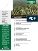 Tecnoagave 45 PDF