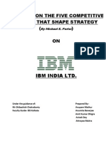 Portes Five Forces On IBM in Software Indusrtry