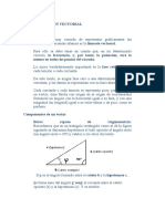 Representacion Vectorial