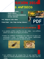 Exposicion 2016 - Los Anfibios