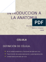 Introduccion A La Anatomia