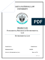 Fundamental Principles of Env Law