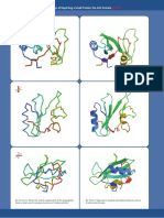 Depicting A Small Protein