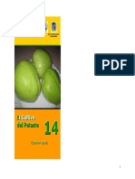 Chayote PDF