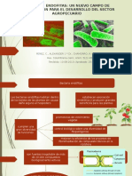 Bacterias Endofitas