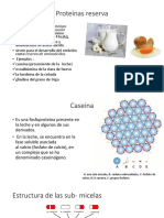 Proteínas Reserva PDF