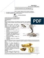 Aparato Digestivo en Vertebrados