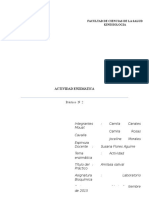 Informe Amila Salival Practico 2