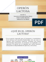 Operón Lactosa