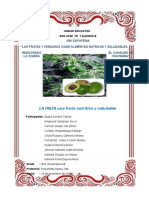 Informe Sobre La Palta