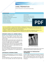 Root Canal Preparation Lecture