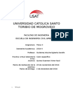 Informe de Laboratorio Virtual Sobre Calor Especifico